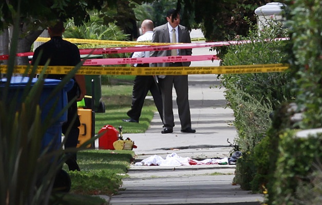 LAPD officer was unjustified in killing a man who zapped his partner with a Taser, panel finds