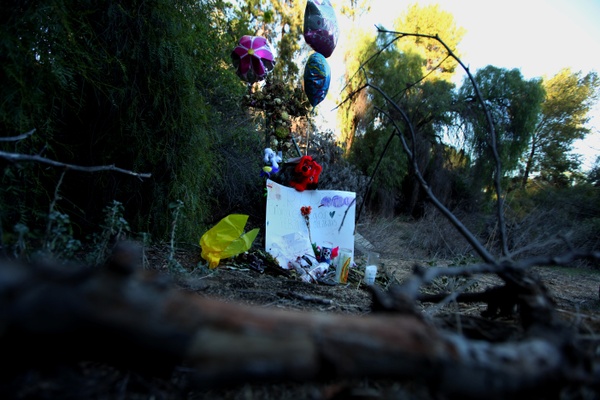 Two plead not guilty in Montecito Heights killings of two teens