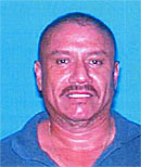 Francisco Ayala Estrada